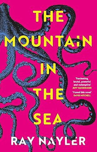 The Mountain in the Sea - Winner of the Locus Best First Novel Award